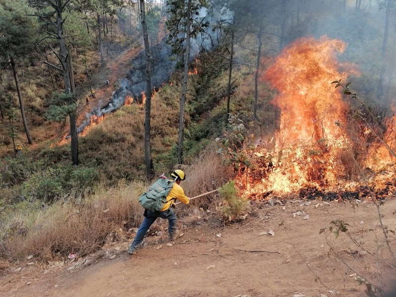Controlados los incendios forestales en el municipio