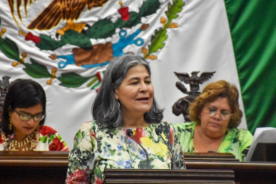 Propone Mayela Salas sanciones a elementos de tránsito que abusen de su cargo