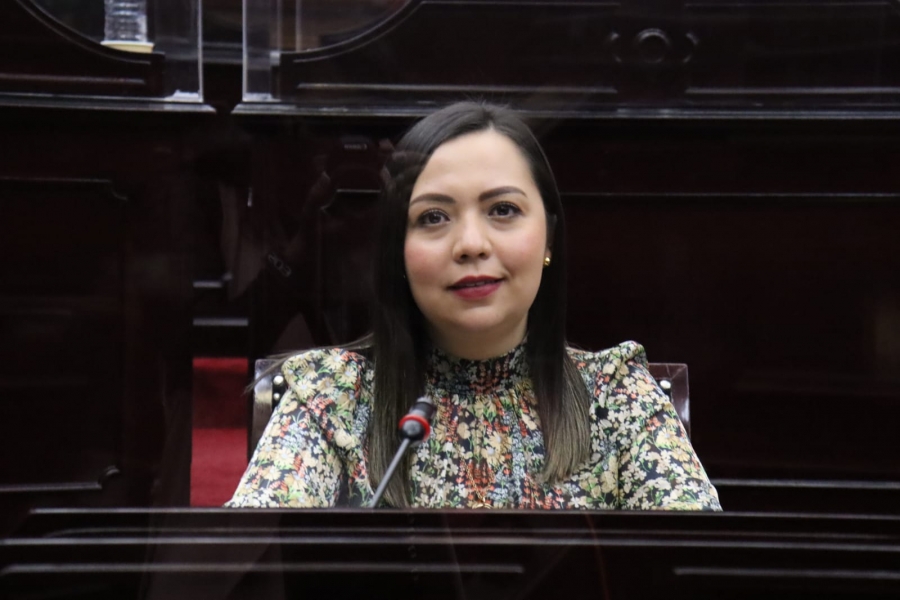 Registra Congreso del Estado un 100% de cumplimiento en materia de transparencia: diputada Liz Hernández
