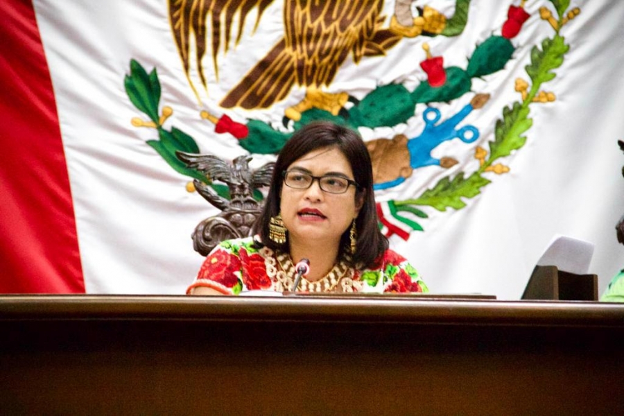 Solidaridad de todas y todos, con las mujeres indígenas de los pueblos originarios en Michoacán: Eréndira Isauro