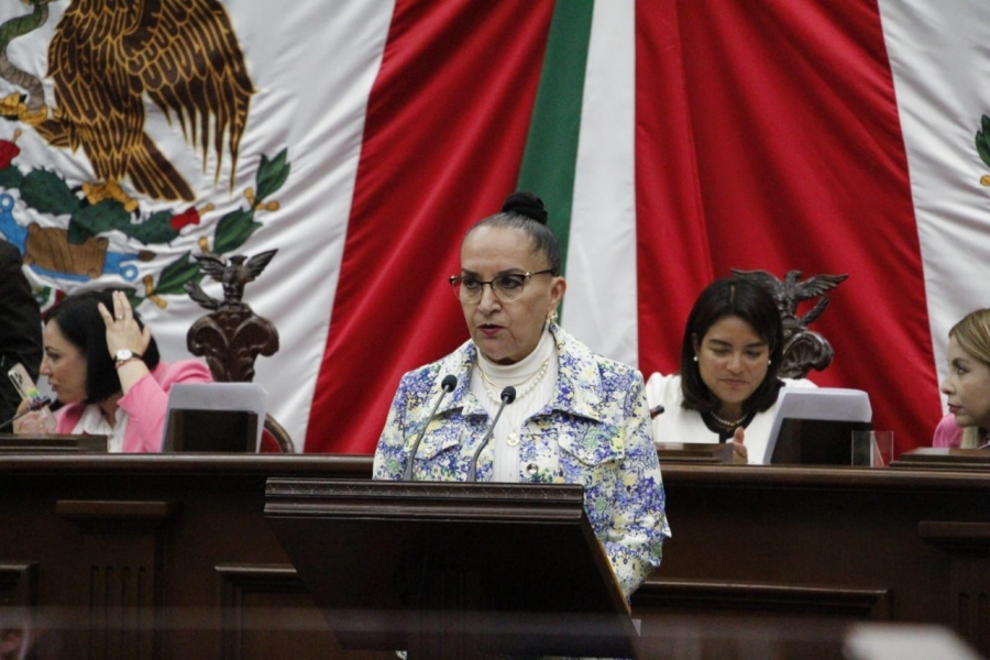 Regular adquisiciones y desincorporaciones de bienes y servicios en el Congreso propone Julieta Gallardo