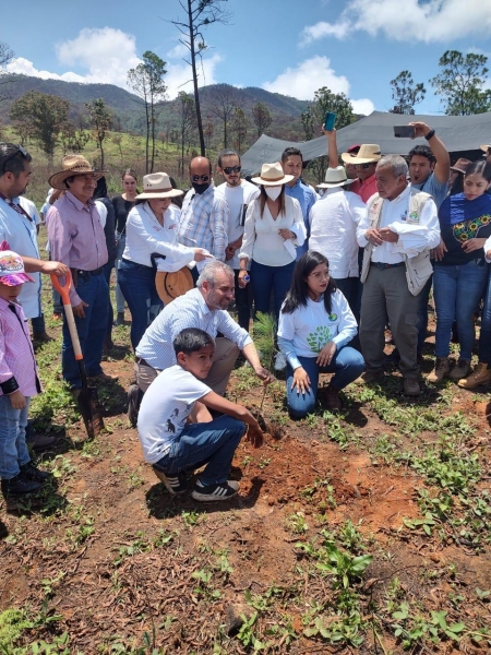 SSP participa en campañas de reforestación en el estado