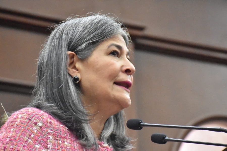 Propone Mayela Salas que primera infracción de tránsito, sea sancionado con una amonestación 