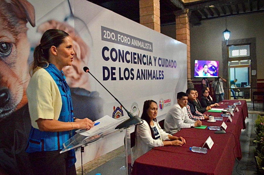 Trabaja 75 Legislatura en incremento a penas por maltrato animal: Daniela de los Santos