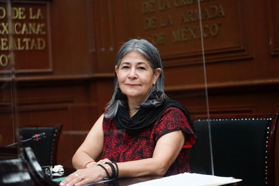 Que dinero de los partidos políticos vaya al pueblo; Mayela Salas a favor de la Reforma Electoral