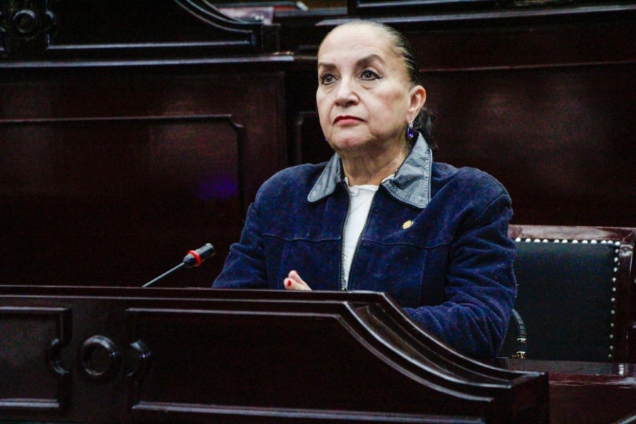 Legislación debe fortalecerse para combatir el nepotismo en la función pública: Julieta Gallardo