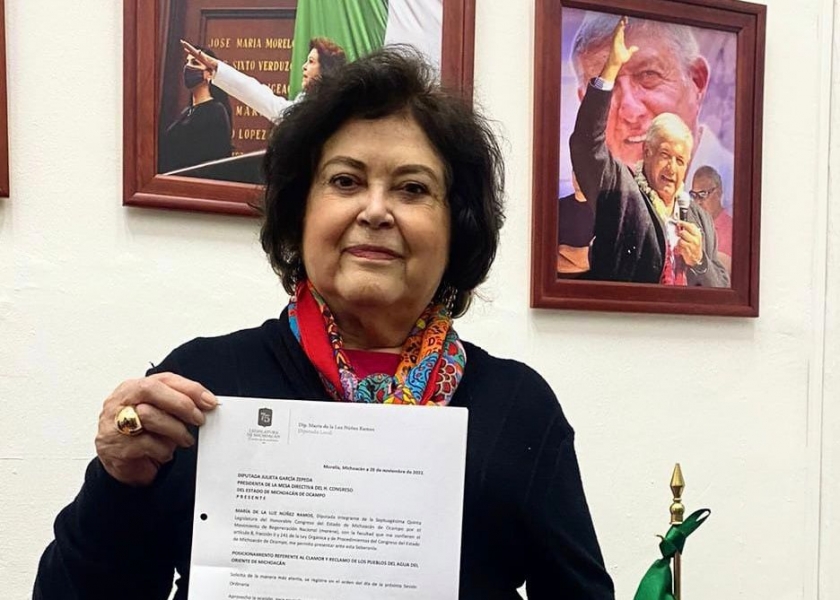 Pagar a cuidadores de bosques del Oriente michoacano, propone la diputada María de la Luz