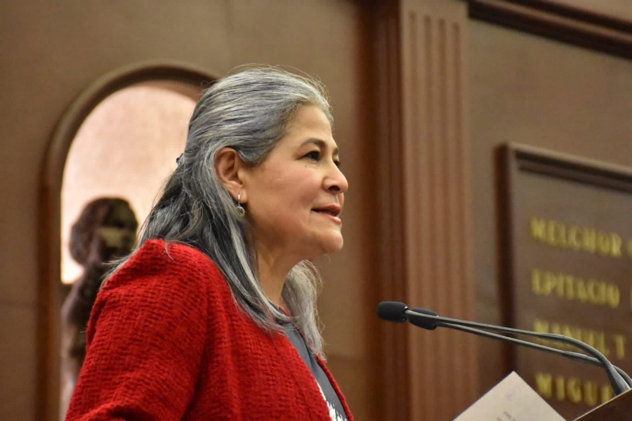 Municipios deben rendir cuentas con información veraz y verificable: Mayela Salas