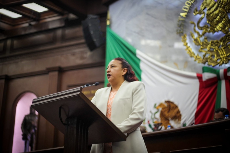 Congreso de Michoacán, listo para votar presupuesto 2023: Seyra Alemán
