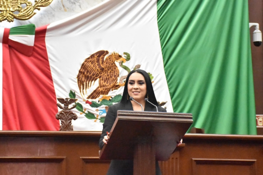 Presupuesto 2023 garantiza desarrollo integral de Michoacán: GP de Morena