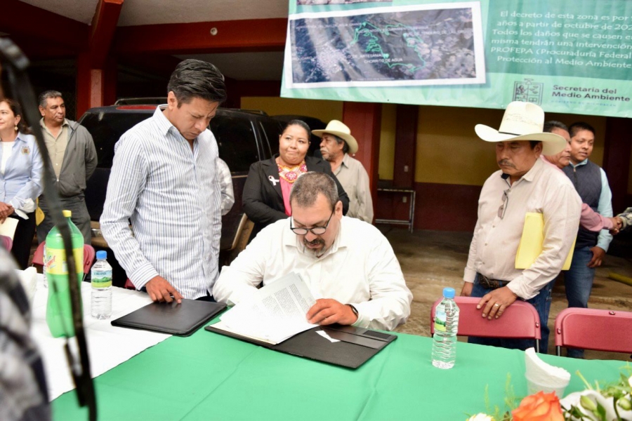 Gobierno de Michoacán prepara certificación ambiental para cultivo de aguacate
