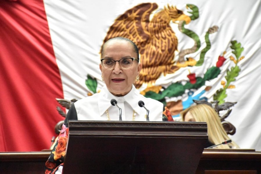 Mujeres embarazadas deben contar con la información debida sobre el parto: Julieta Gallardo﻿