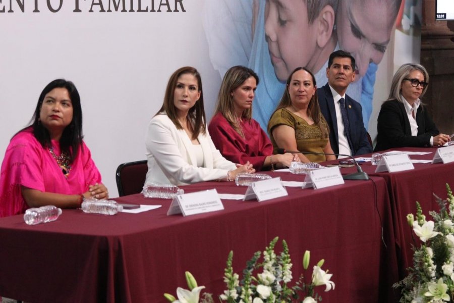 Familias de Acogimiento, importantes para garantizar el sano desarrollo de niños y adolescentes: 75 Legislatura﻿