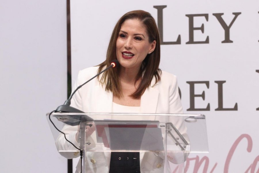 Realiza diputada Ivonne Pantoja Foro sobre figura de Acogimiento Familiar