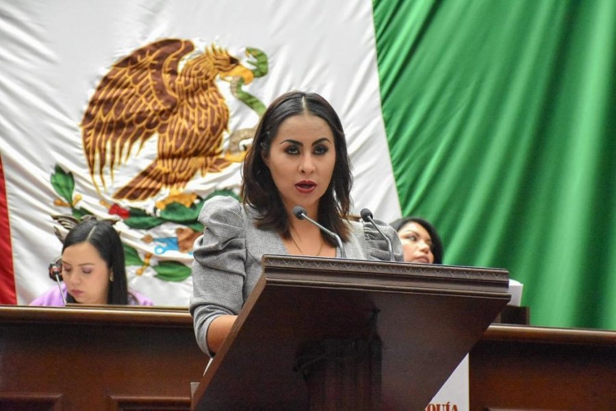 A propuesta de Gloria Tapia exhorta Congreso a Ejecutivo para placas con distintivos ecológicos﻿