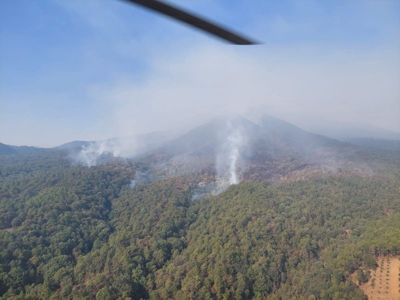 Más de 400 brigadistas combaten incendio forestal en cerro Grande