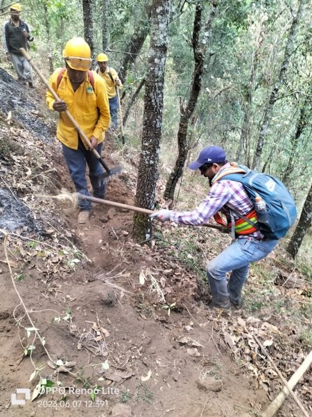 Controlado en un 100% el incendio forestal en el cerro de Patamban: Cofom