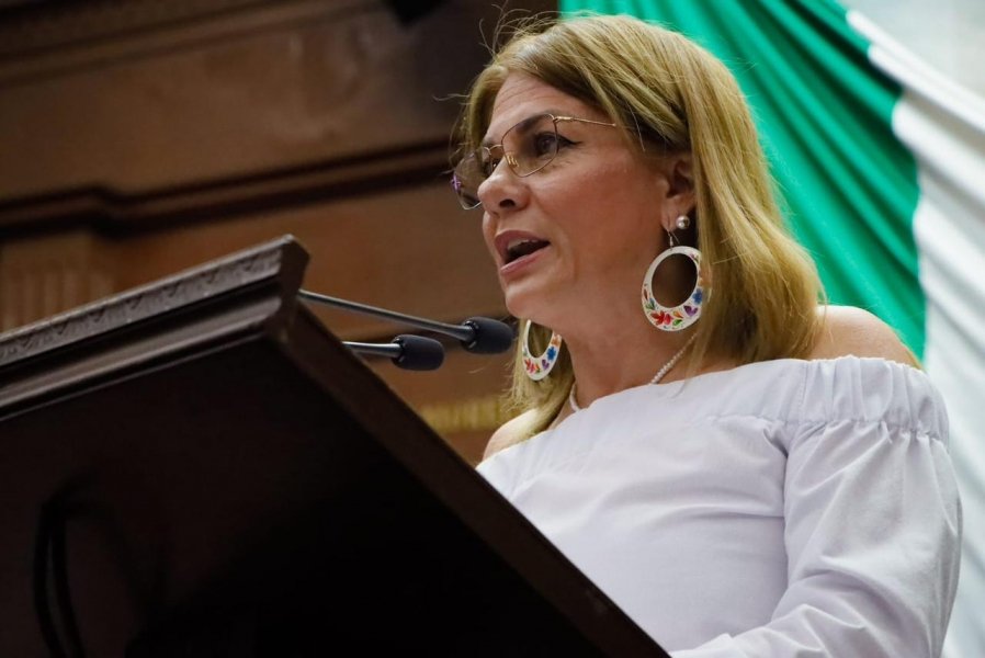 Muchas familias dejan en la calle a sus adultos mayores: Dip. Luz García