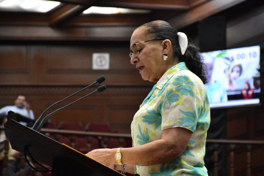 Ley debe regular los decibeles de sonido en el transporte público: Julieta Gallardo