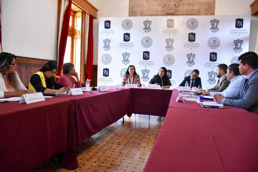 Ley de Desaparición Forzada será una realidad en Michoacán: Brenda Fraga