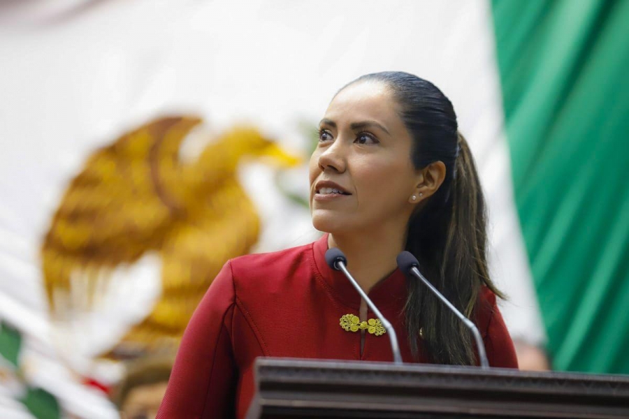 En la Representación Parlamentaria estamos listas y listos para dar buenos resultados a Michoacán