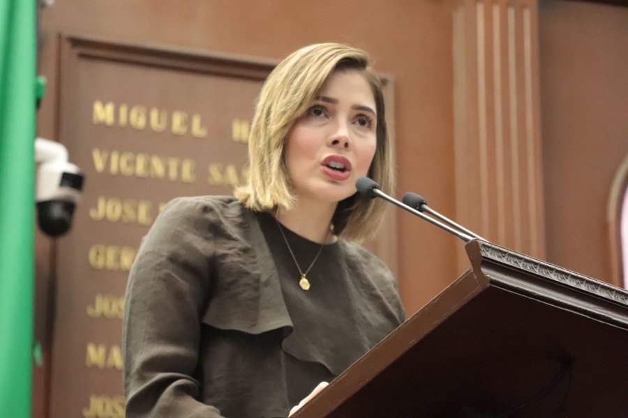 Diputada Brissa Arroyo plantea reformas a la Ley de Salud para impulsar en el estado el “Código Mariposa”