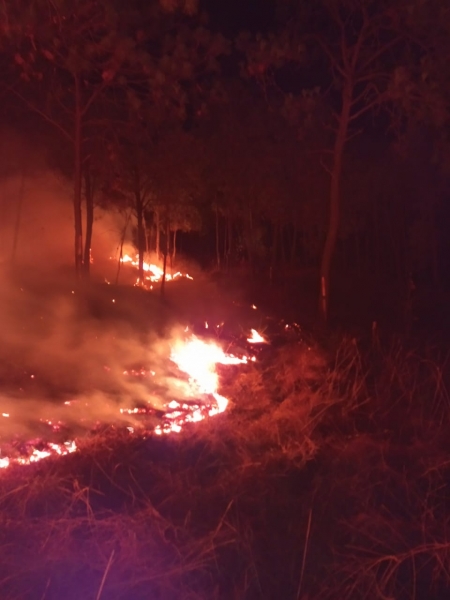 Brigadistas Municipales atienden incendio en el cerro de La Cruz 