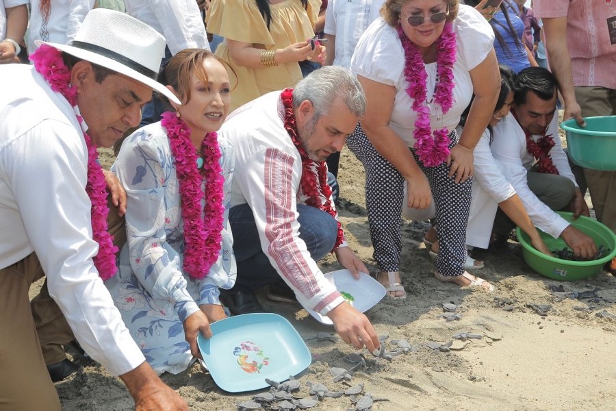 Campamentos tortugueros serán respaldados por Gobierno de Michoacán: Bedolla