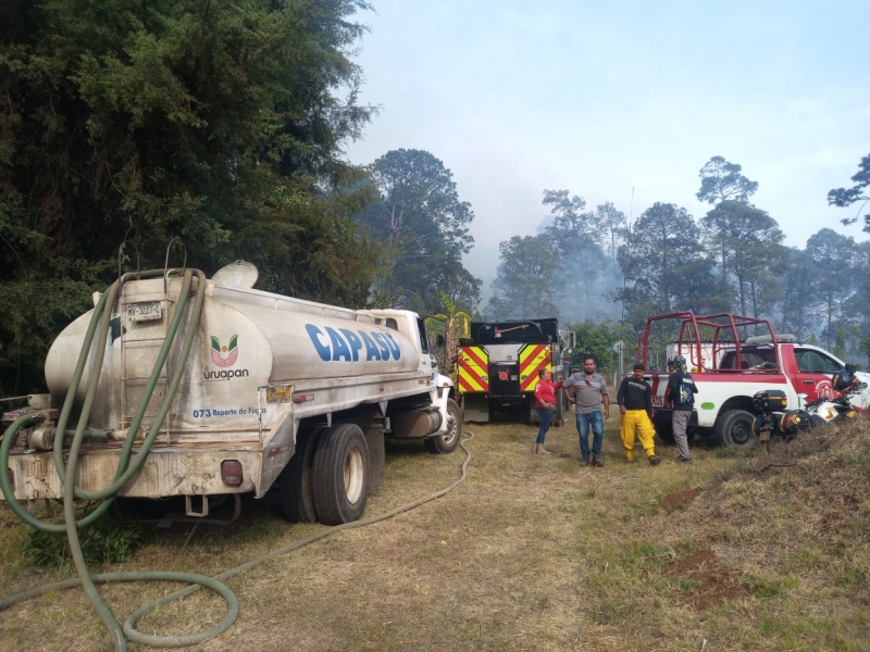 Controlados los incendios forestales en el municipio